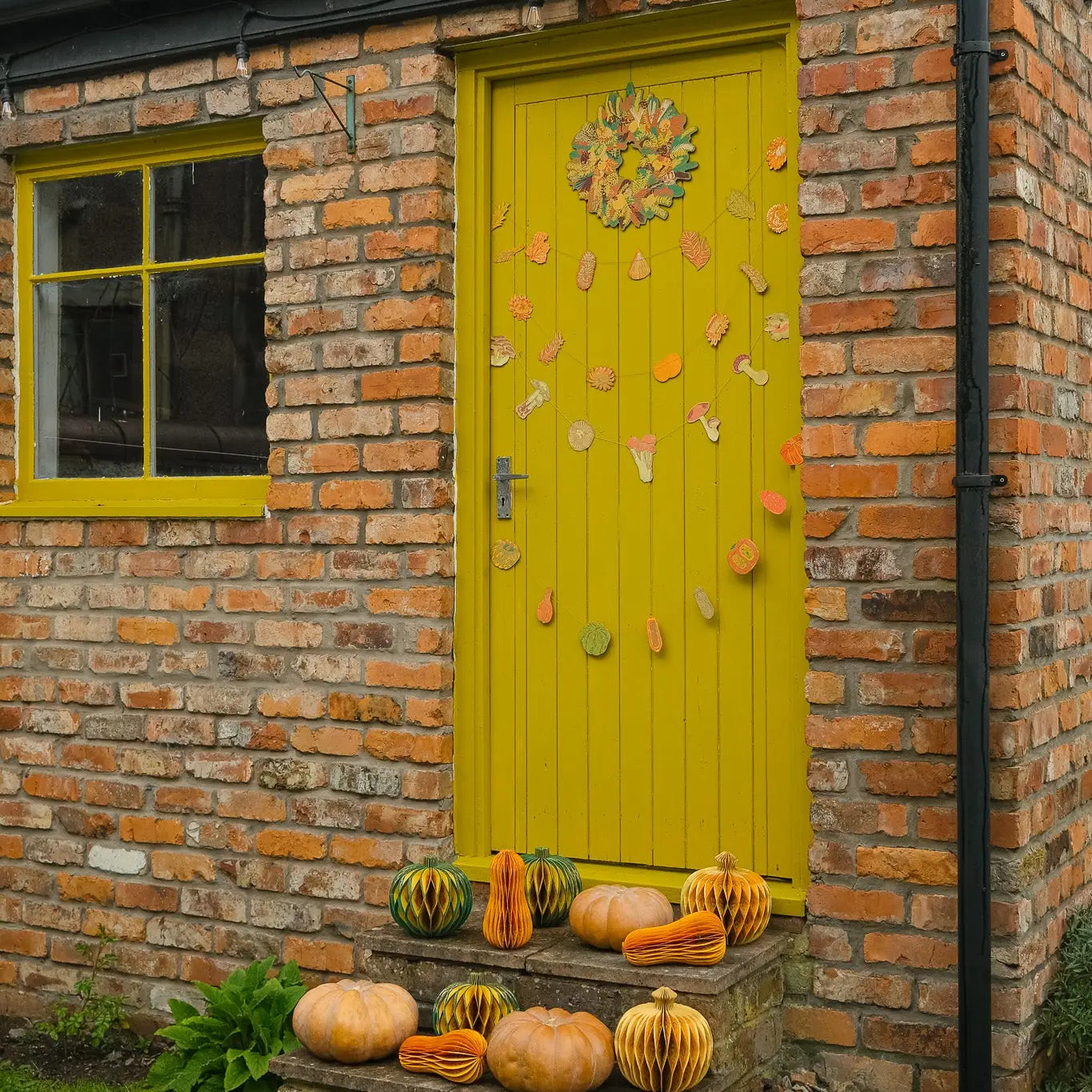 Squashes Sewn Garland