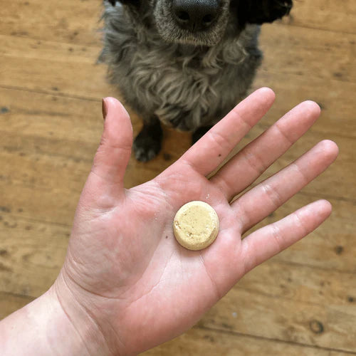 Dog Training Treats - Chicken Liver