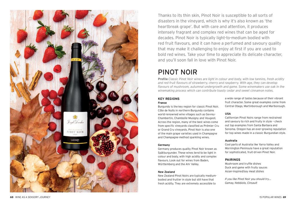 WINE: TASTE PAIR POUR