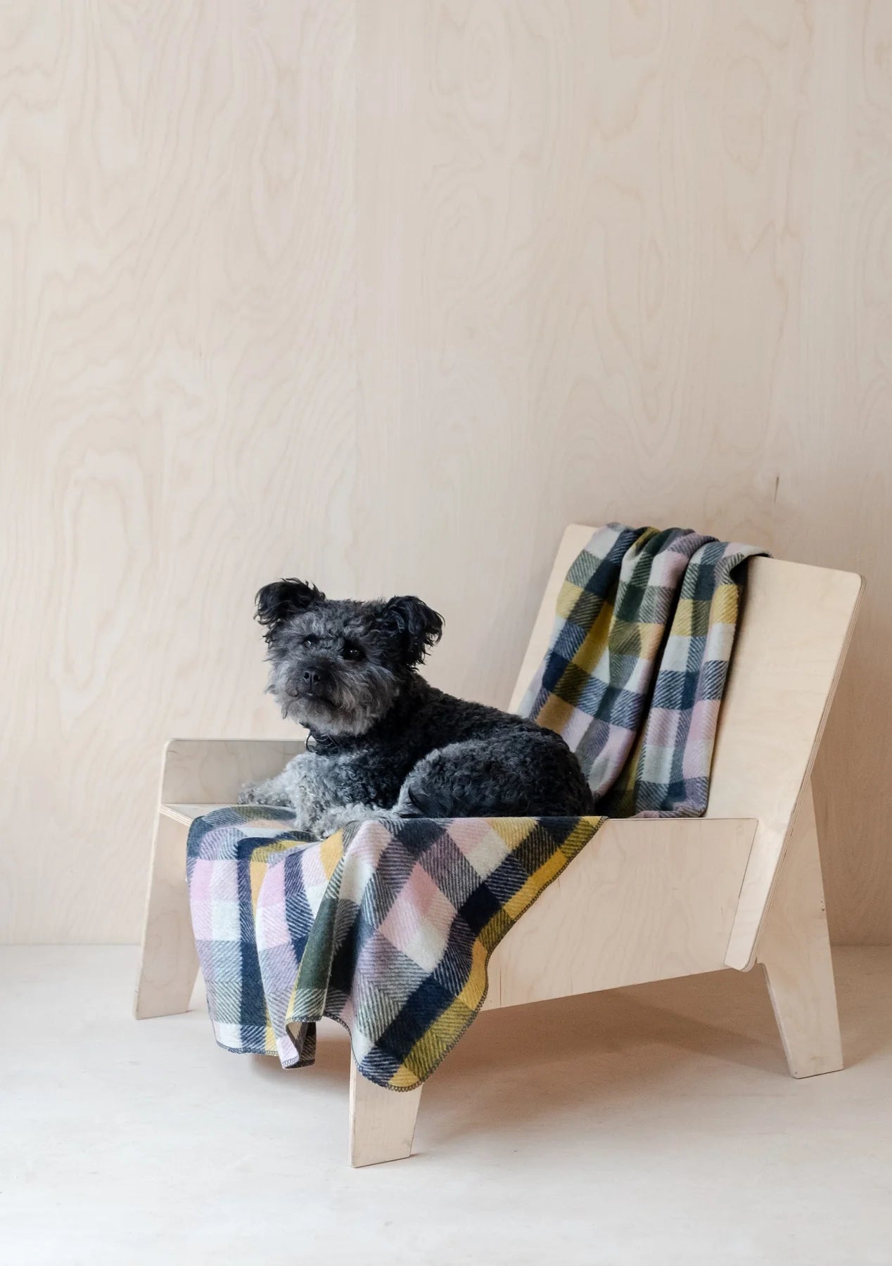 Recycled Wool Large Pet Blanket