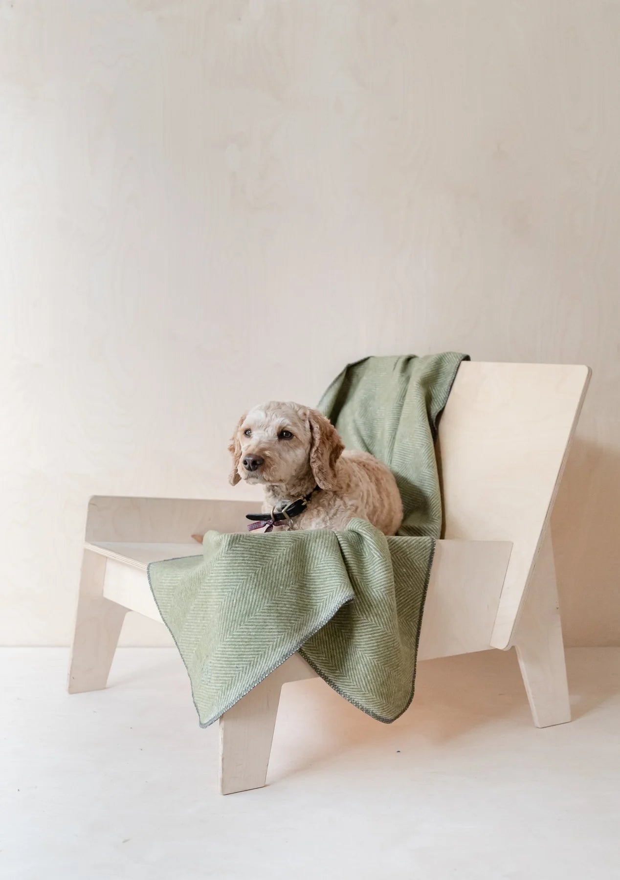 Recycled Wool Large Pet Blanket
