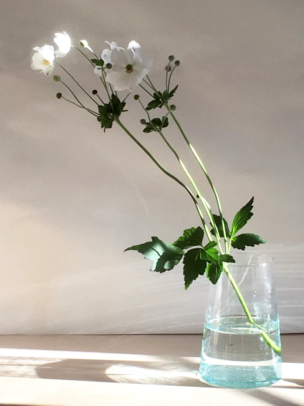 Glass Vase