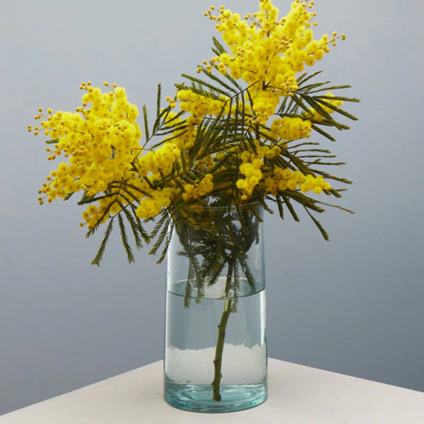 Glass Carafe