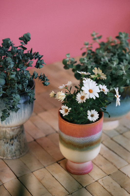 Retro Flower Pot - Rosefield