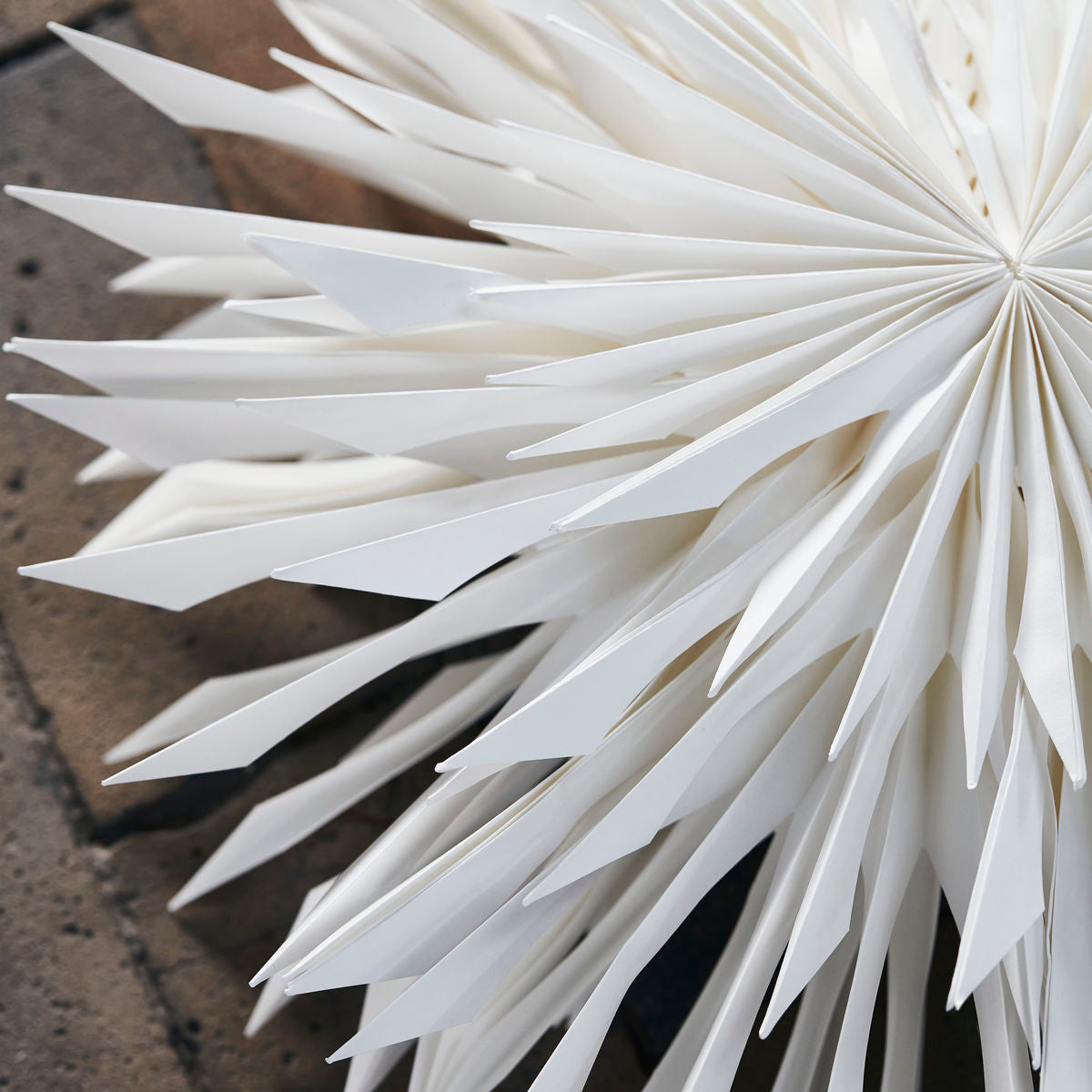 Reef Paper Star Decoration