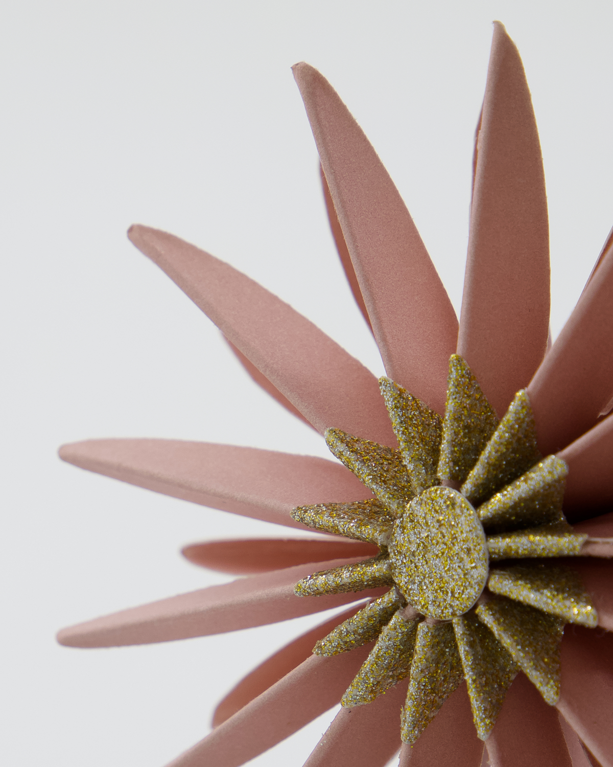 Champagne Rose Star Tree Decoration Set