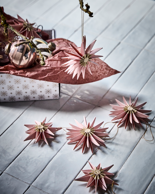 Champagne Rose Star Tree Decoration Set