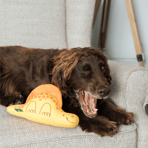 Dimetrodon Yellow Dinosaur Dog Toy