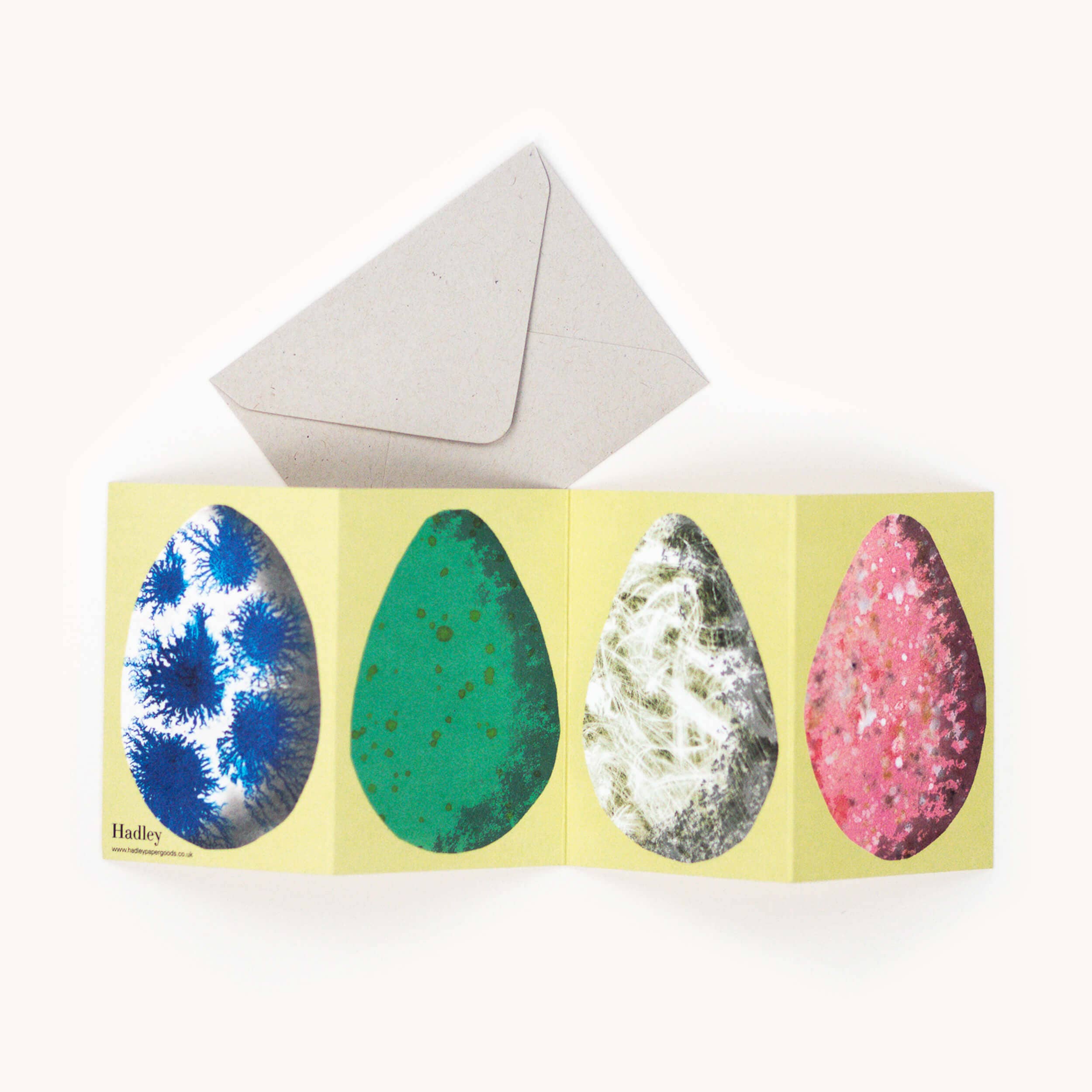 Egg Concertina Card
