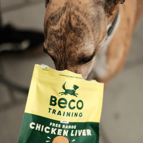 Dog Training Treats - Chicken Liver