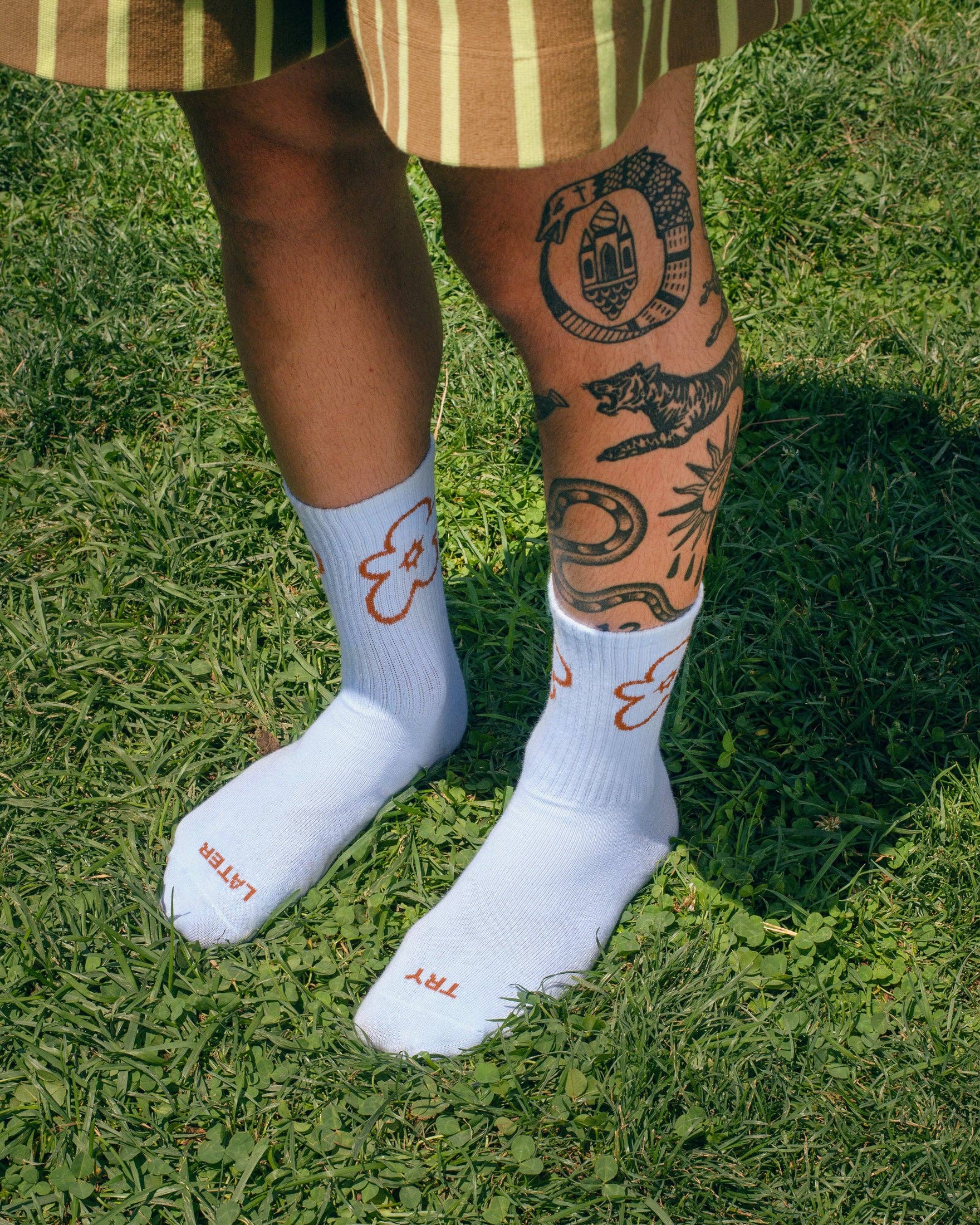 Try Later Socks