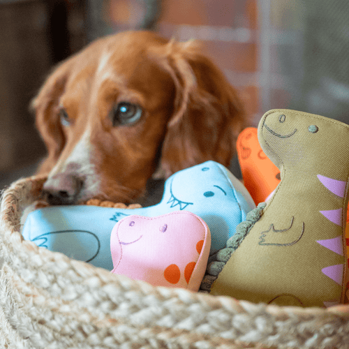 Iggy The Iguanodon Dinosaur Dog Toy
