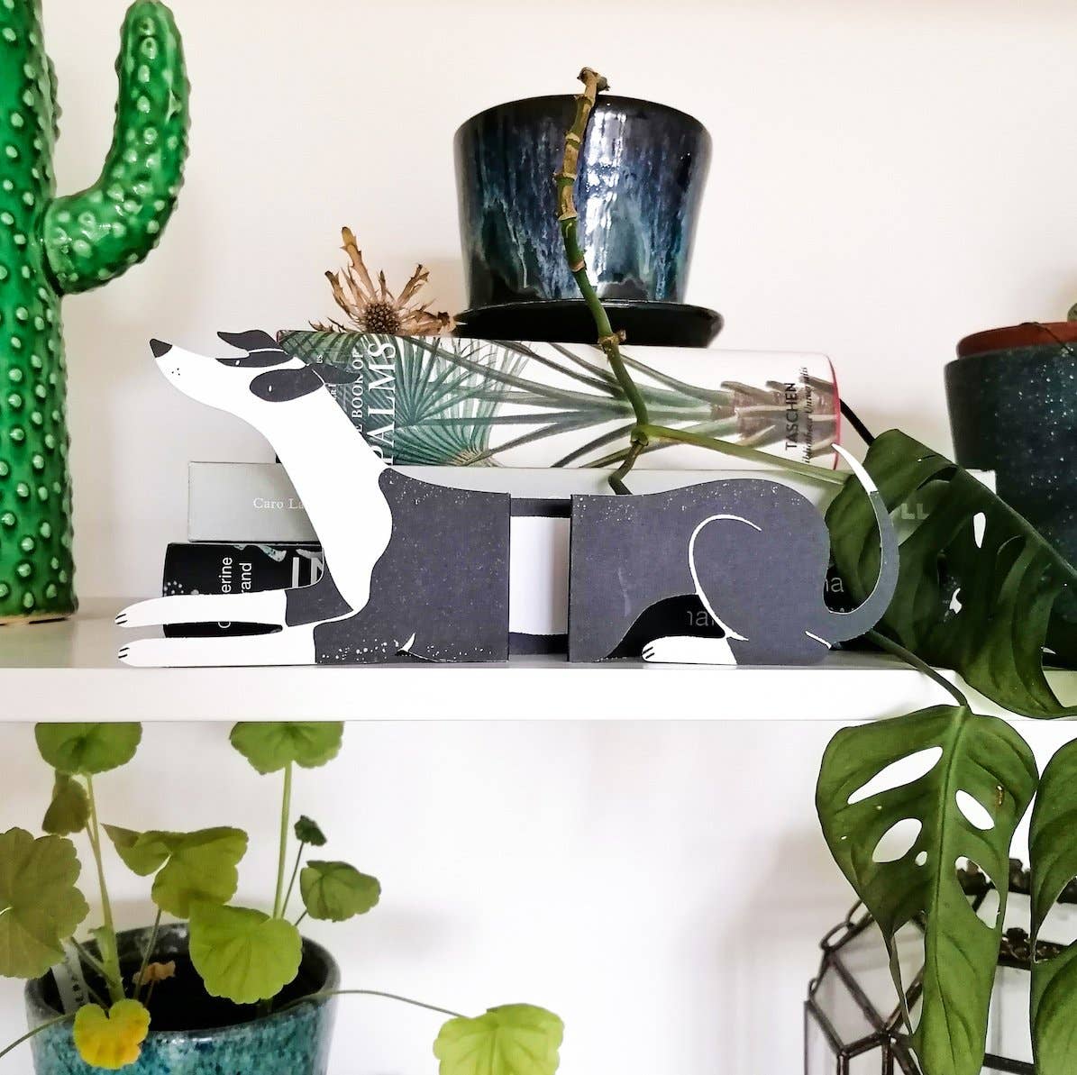 Albert - Long Doggo Card