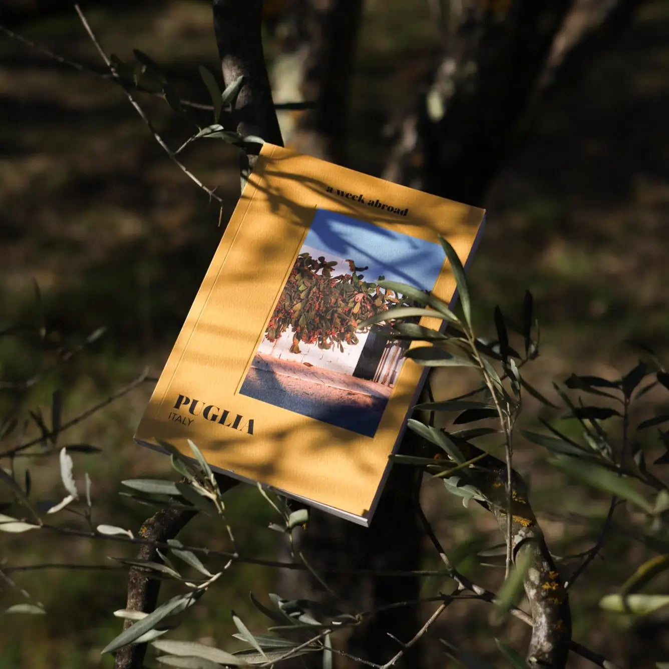 A Week Abroad Book - Puglia