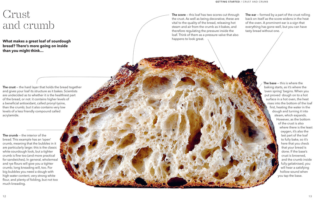 How To Raise A Loaf and Fall In Love With Sourdough Book