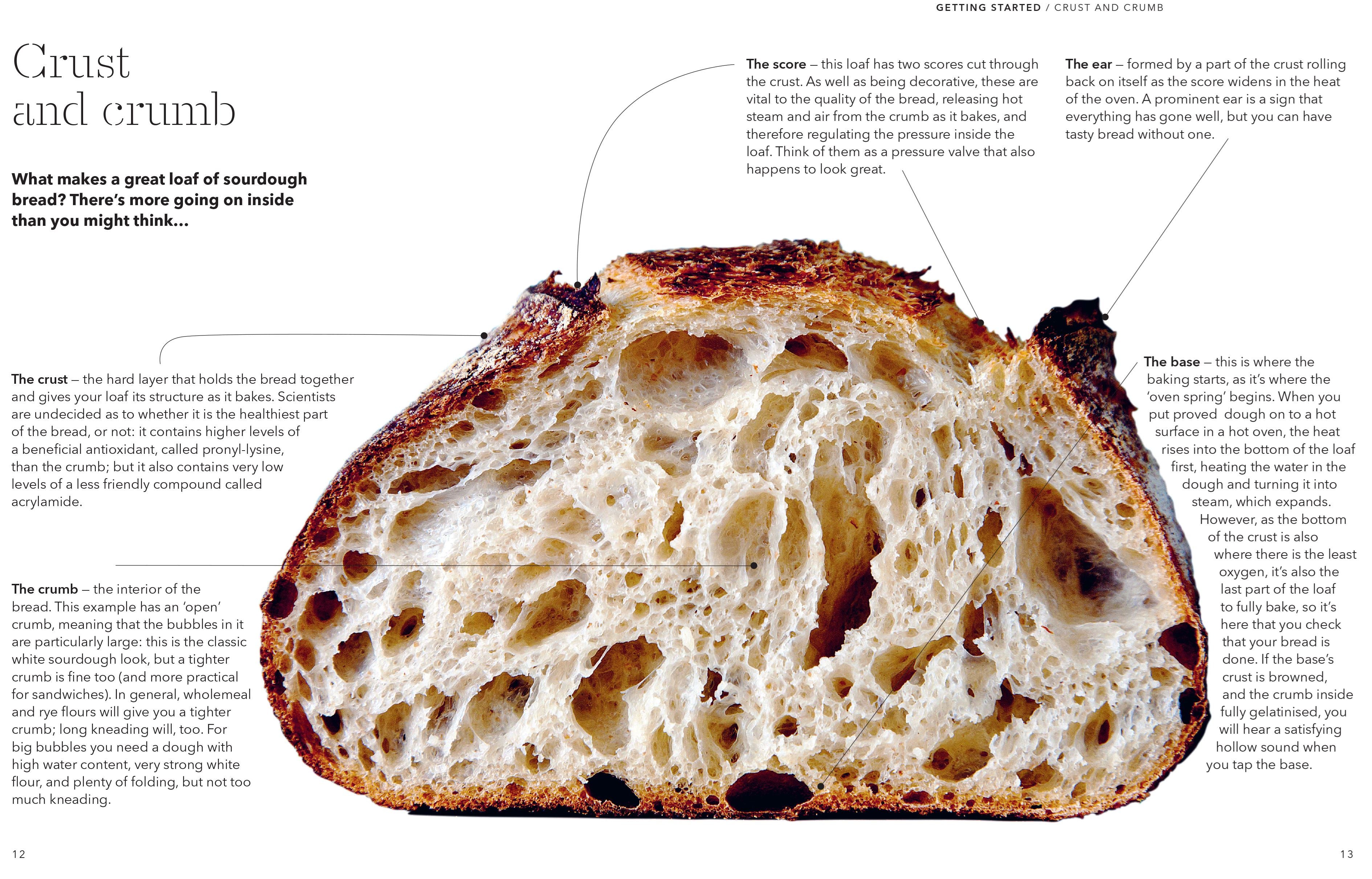How To Raise A Loaf and Fall In Love With Sourdough Book