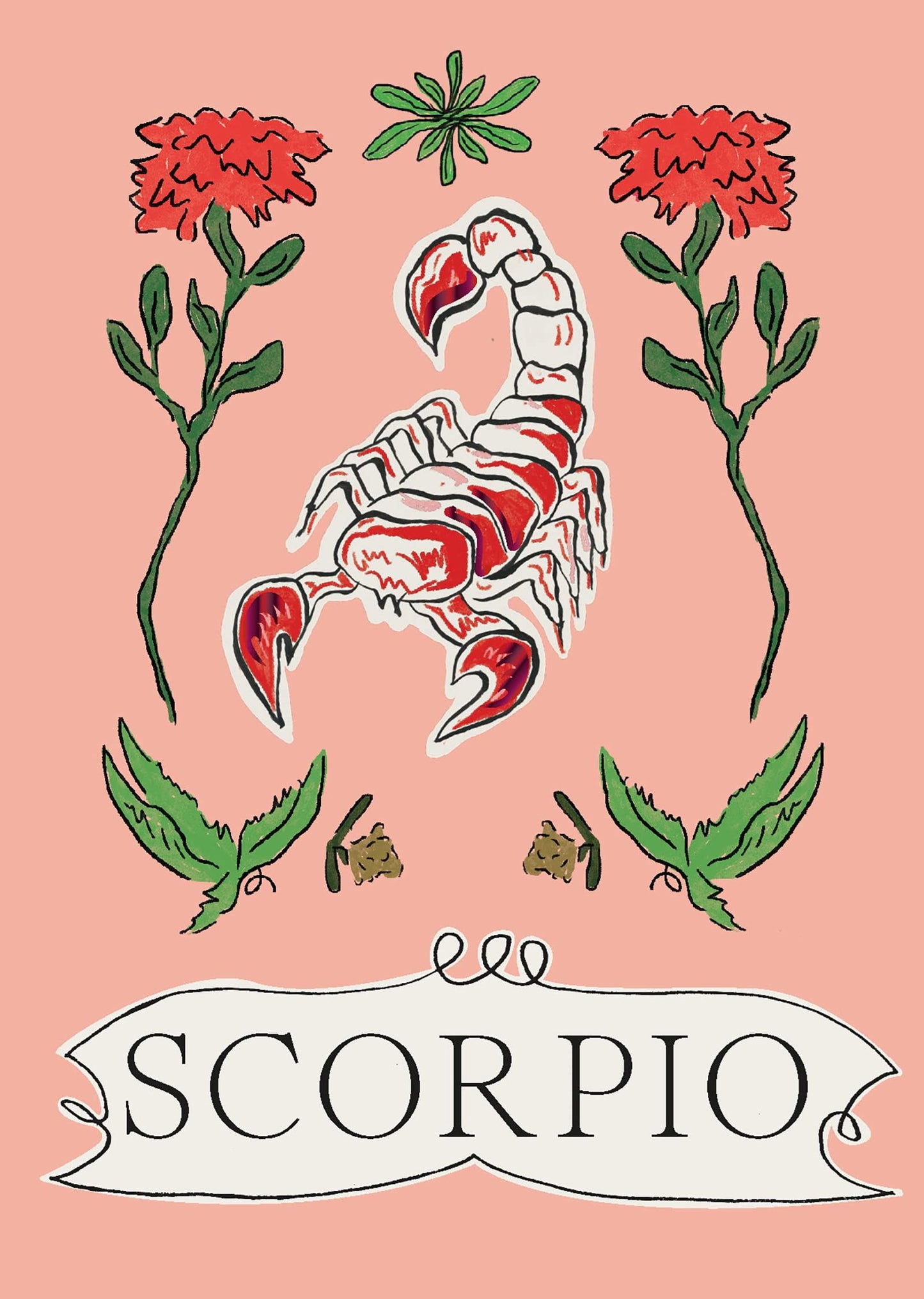 Zodiac Star Sign Book