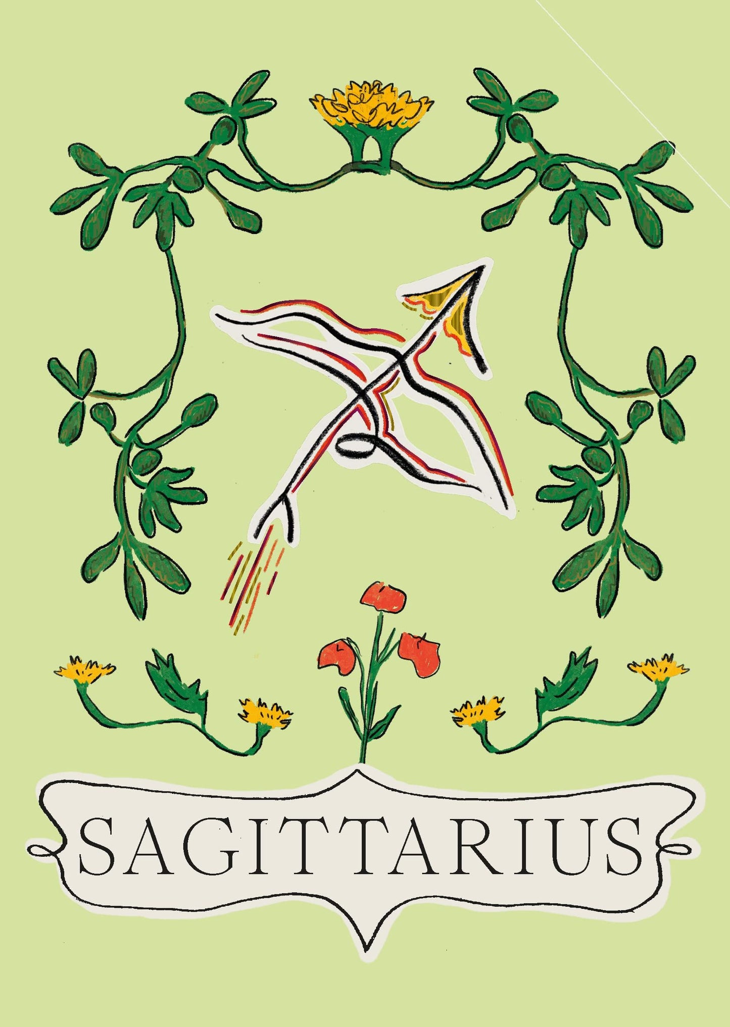 Zodiac Star Sign Book