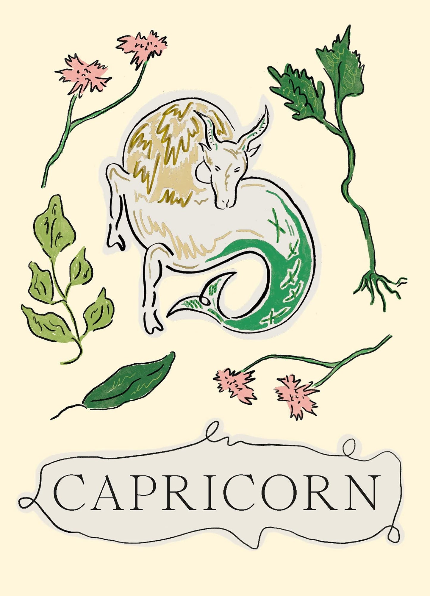 Zodiac Star Sign Book