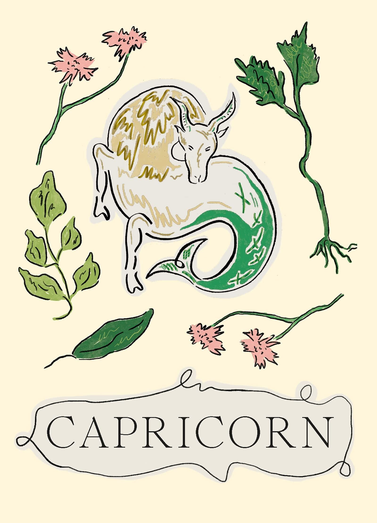 Zodiac Star Sign Book