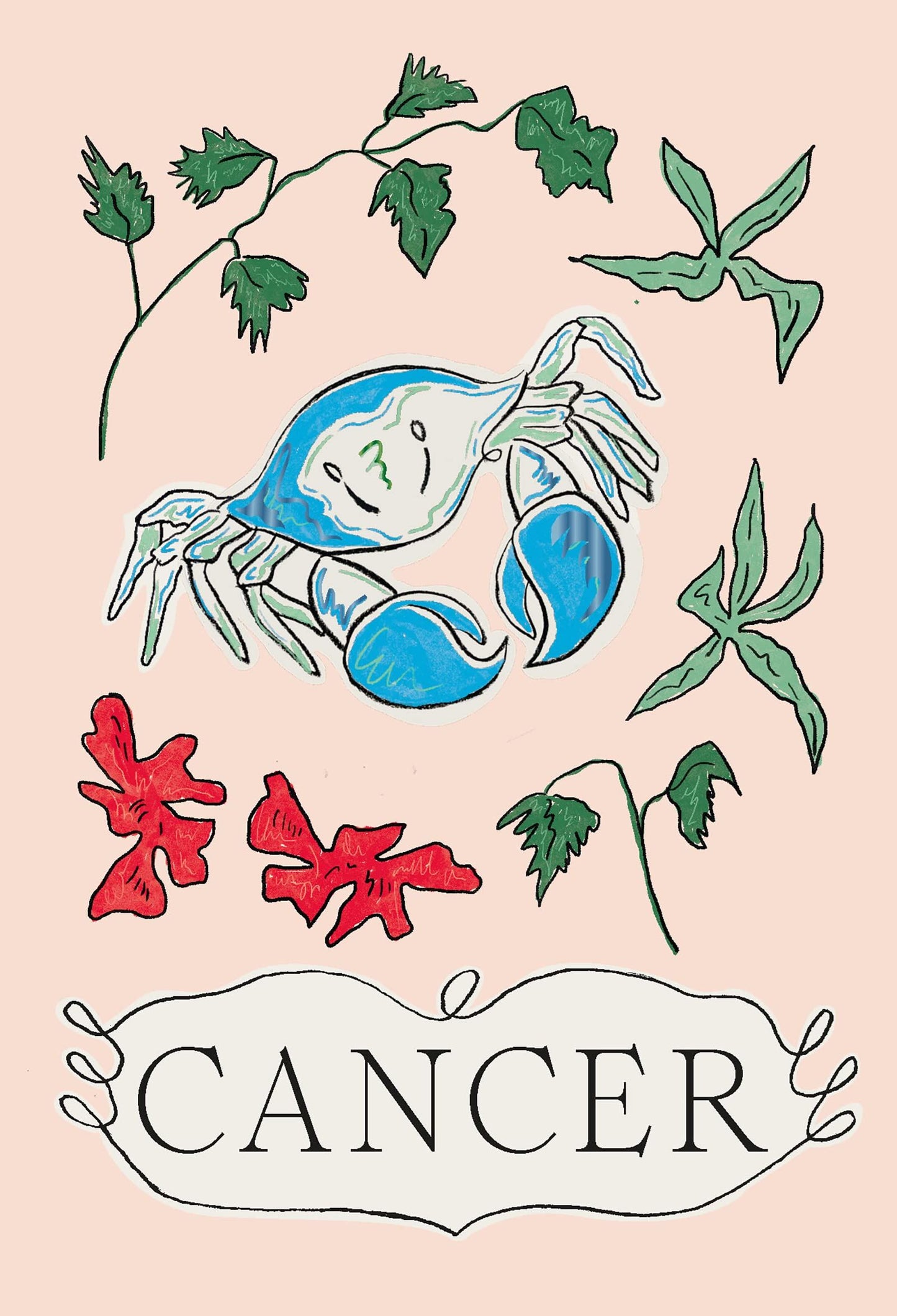 Zodiac Star Sign Book
