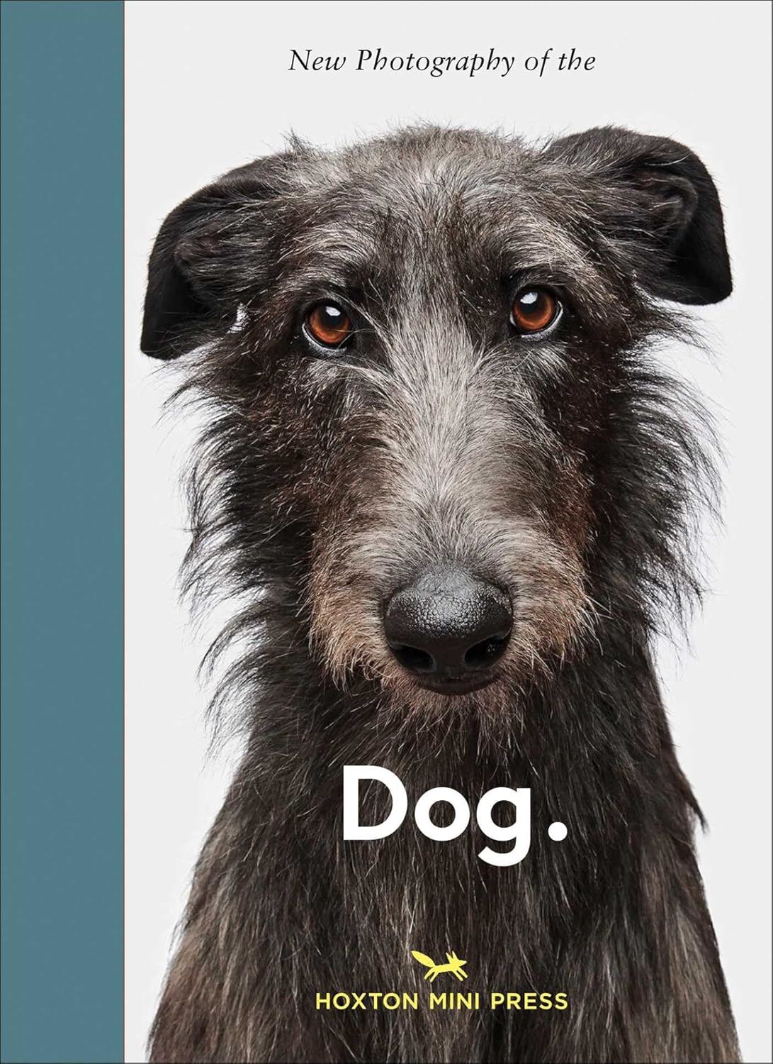 New Photography Of The Dog