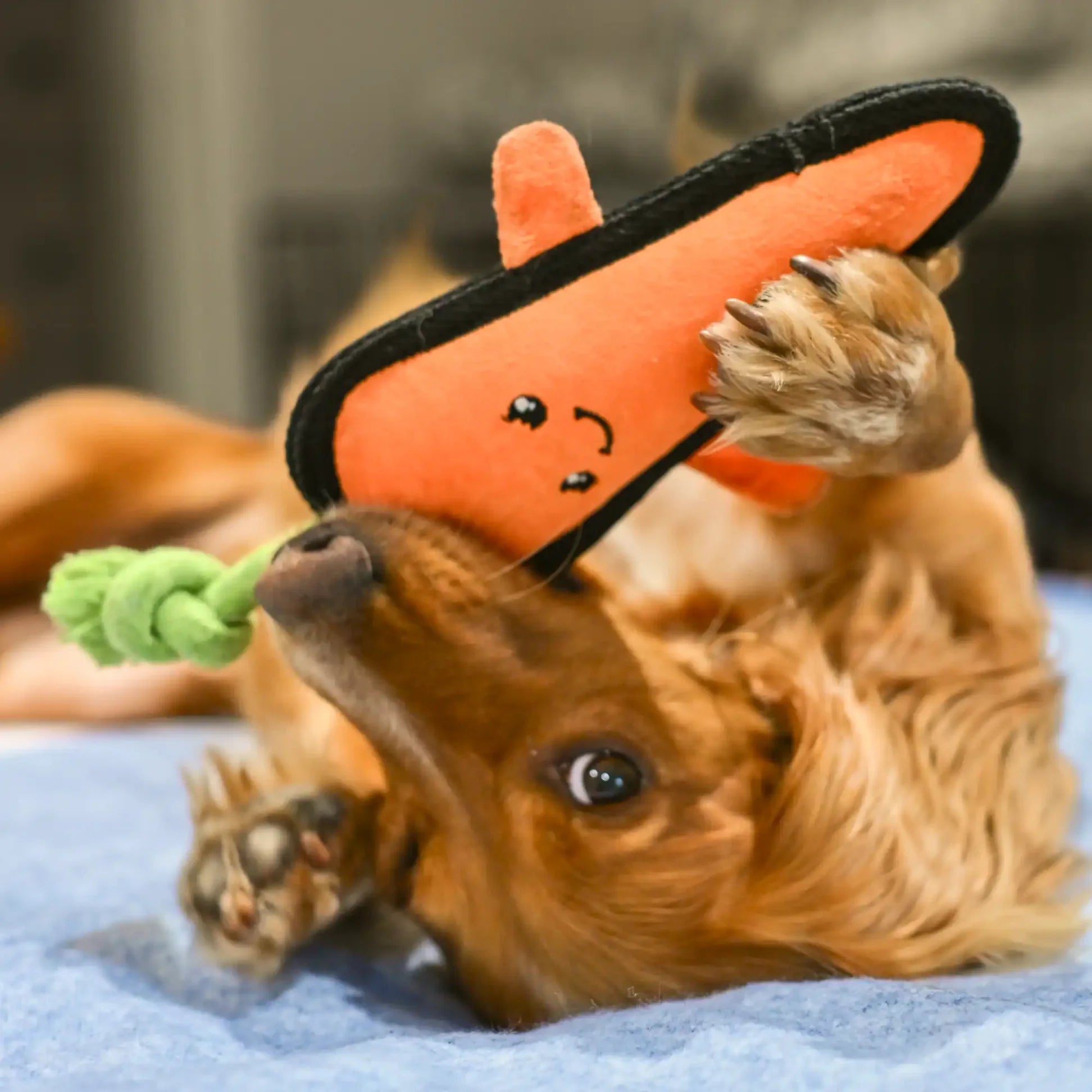 Carrie The Carrot Dog Toy