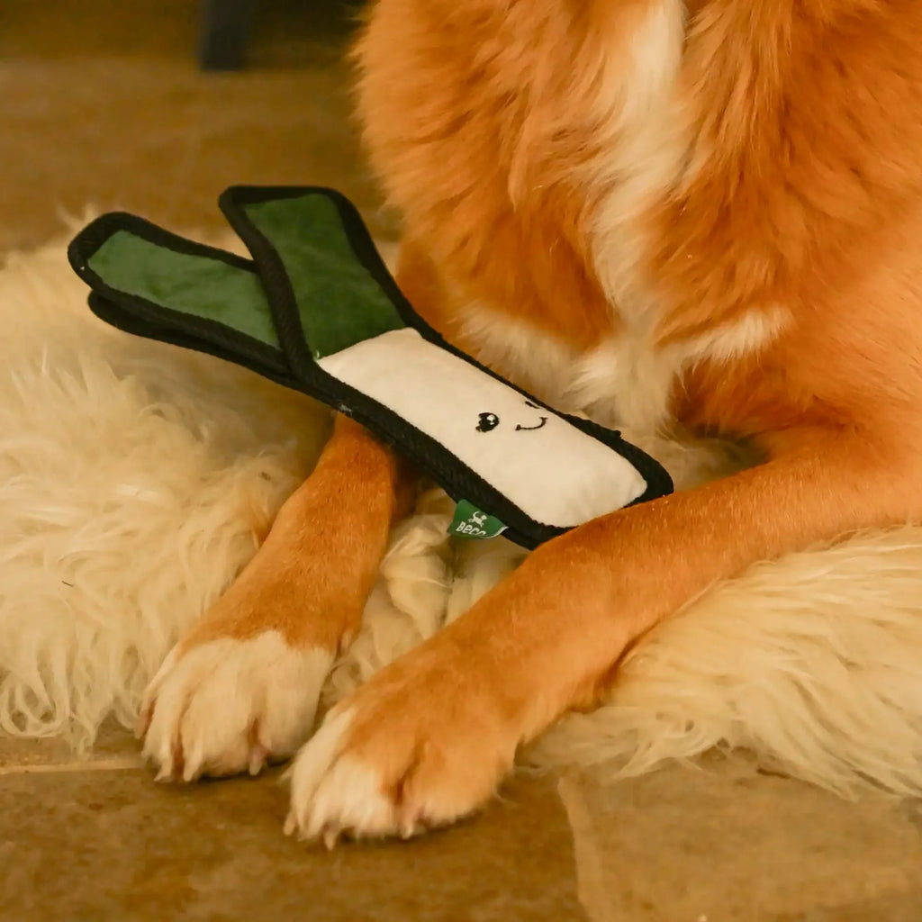 Larry The Leek Dog Toy