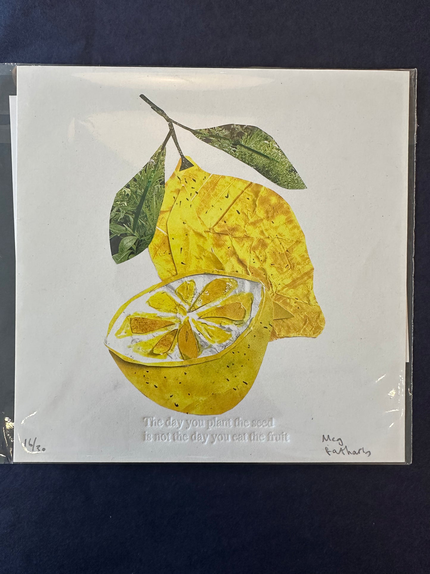The Day You Plant The Seed Embossed Art