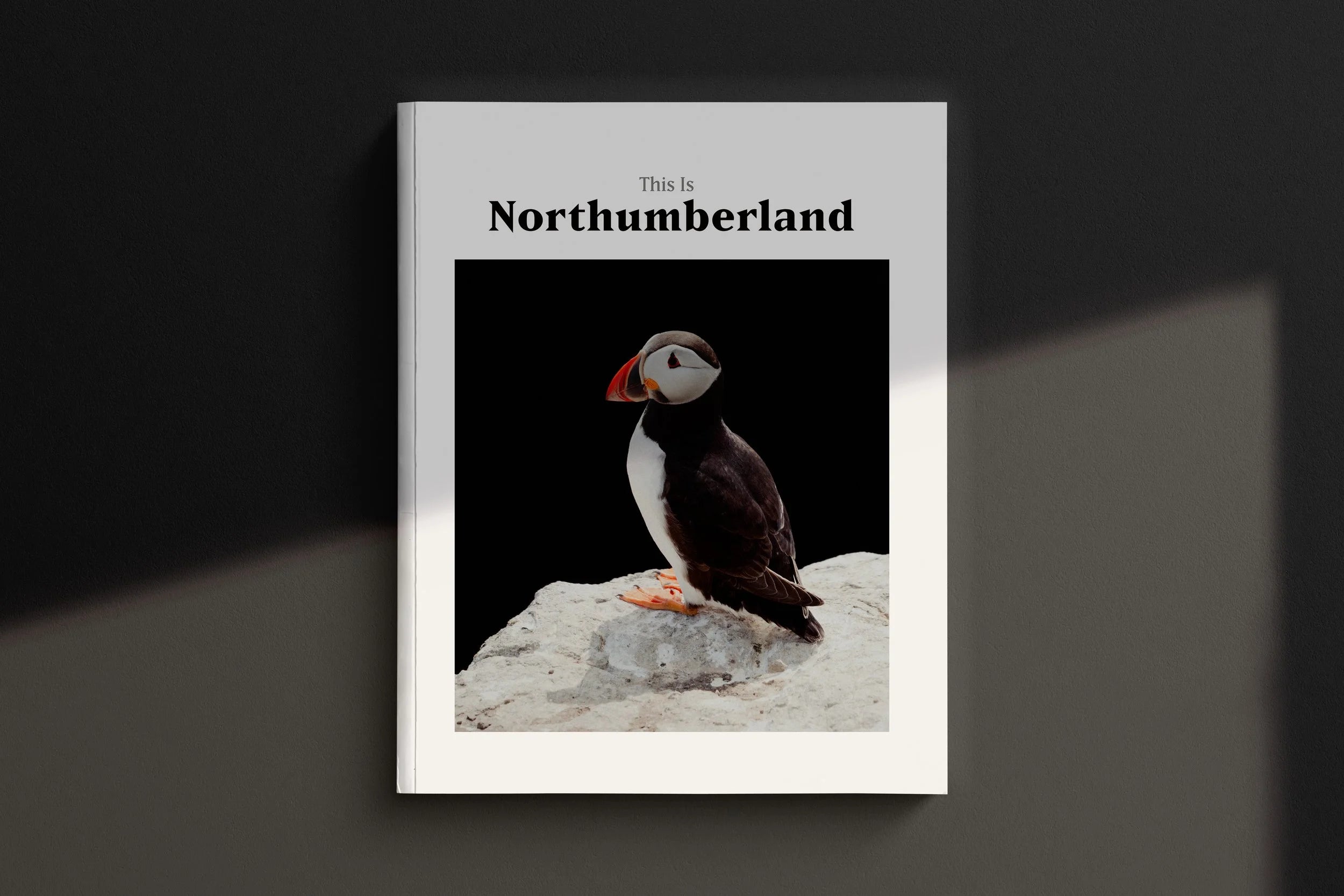 This Is Northumberland 2026