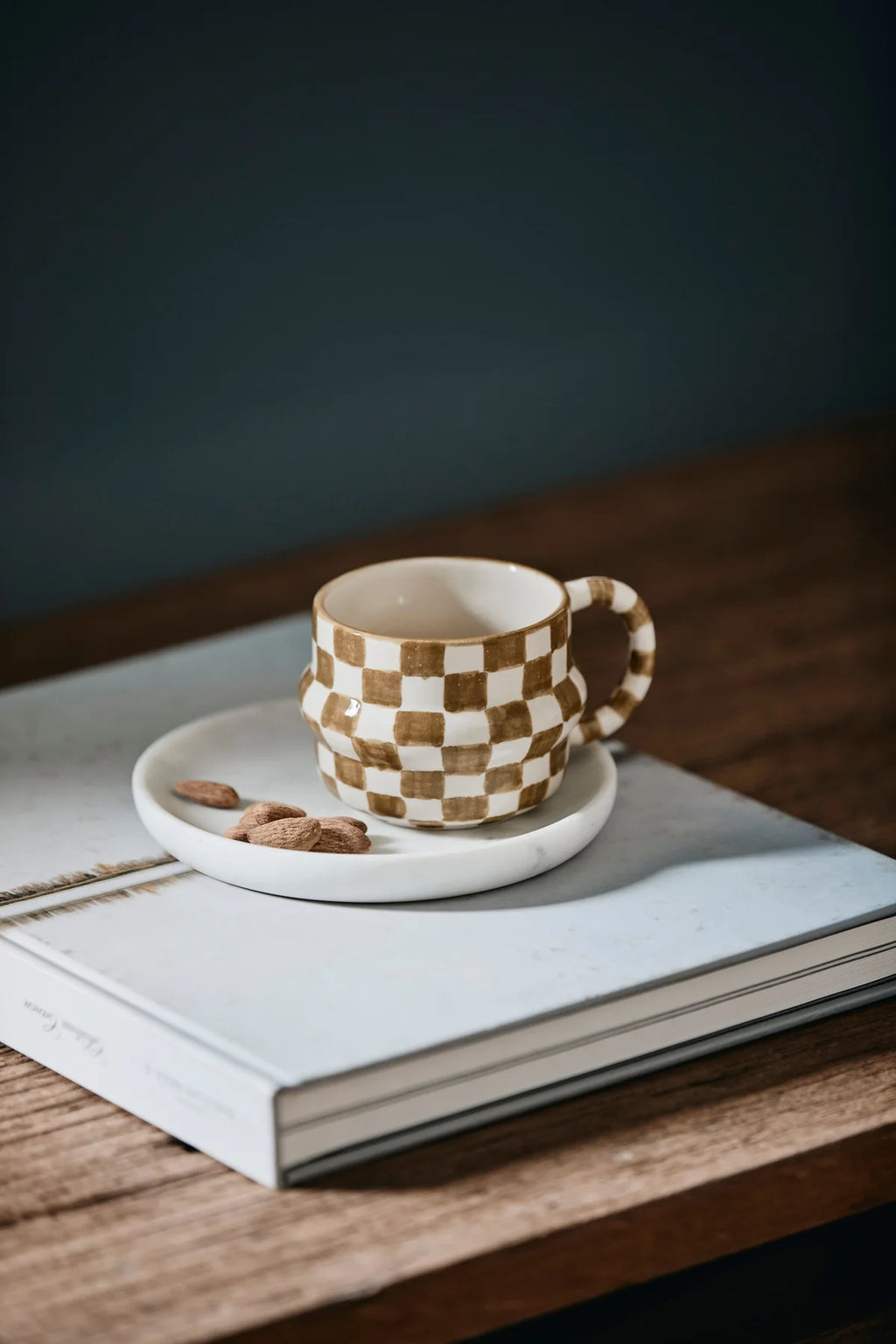 YSIA Mug