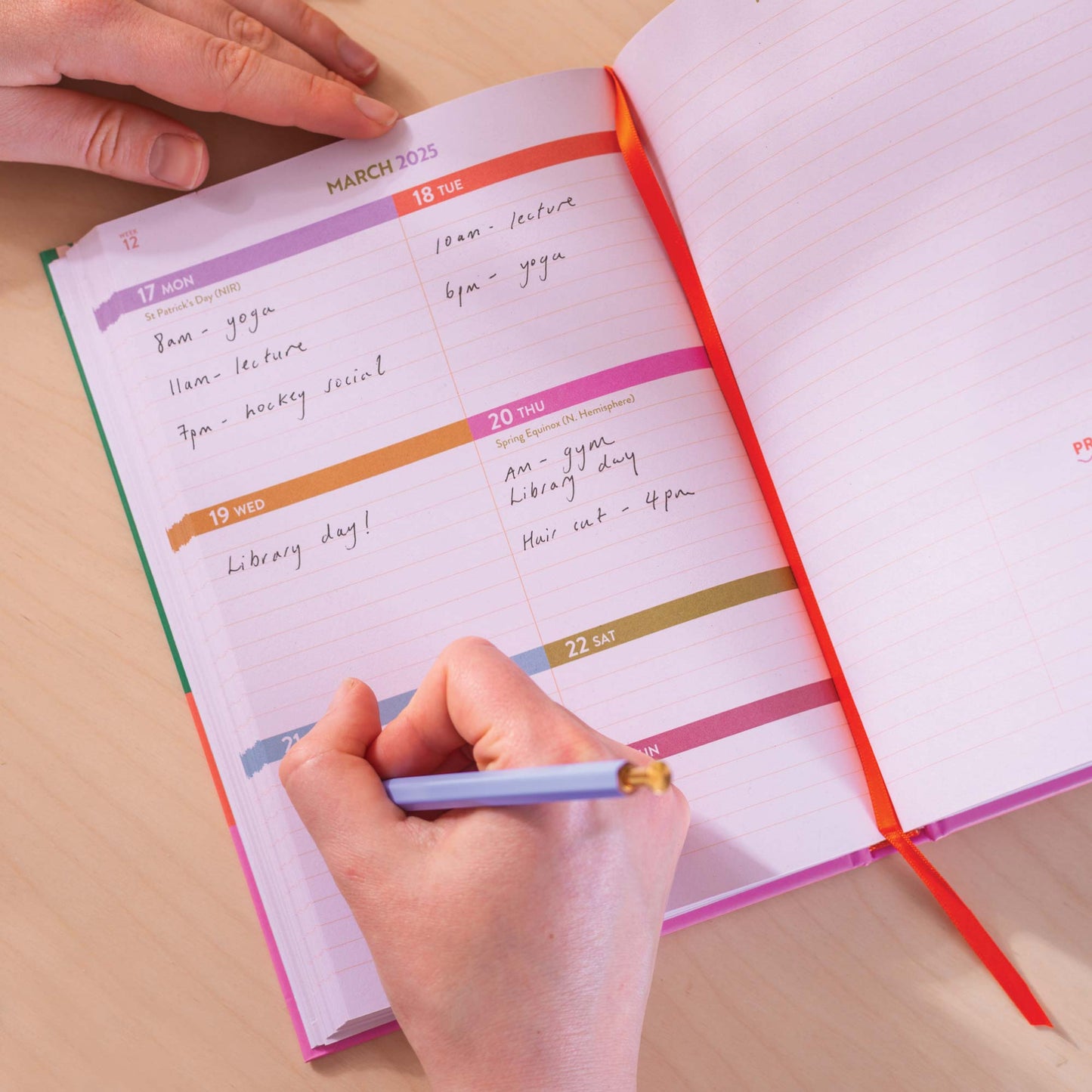 2025 Hardcover Diary - Checks