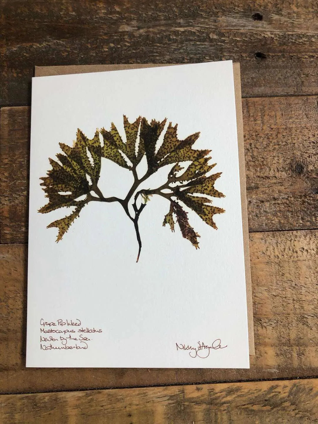 Grape Pip Seaweed Card