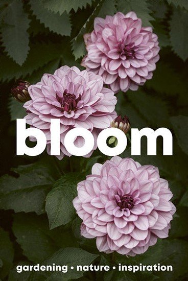 Bloom Magazine Issue 16