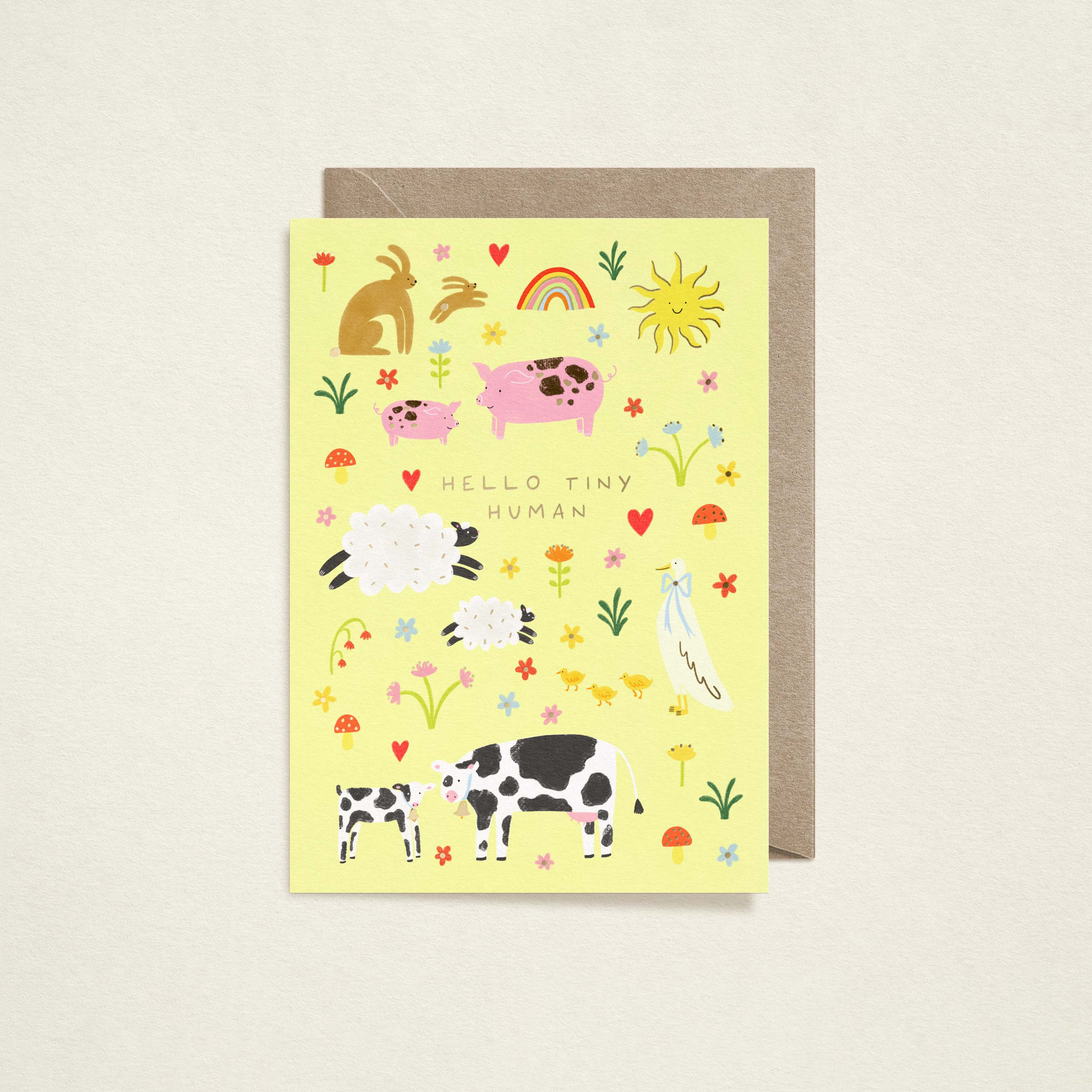 Hello Tiny Human Baby Card