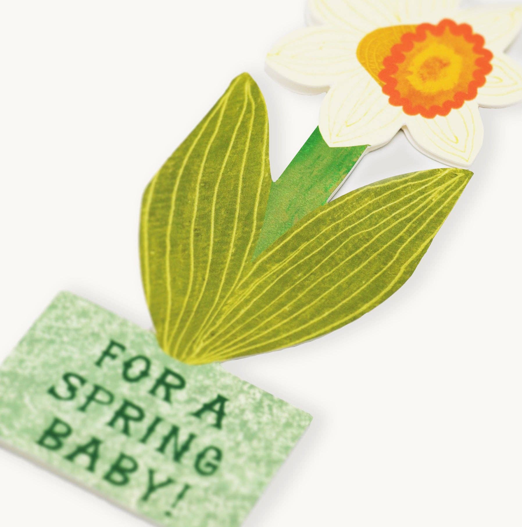 For A Spring Baby Daffodil Card