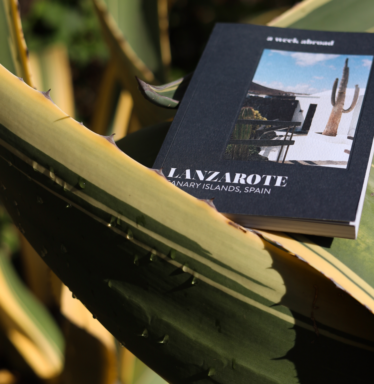 A Week Abroad Book - Lanzarote