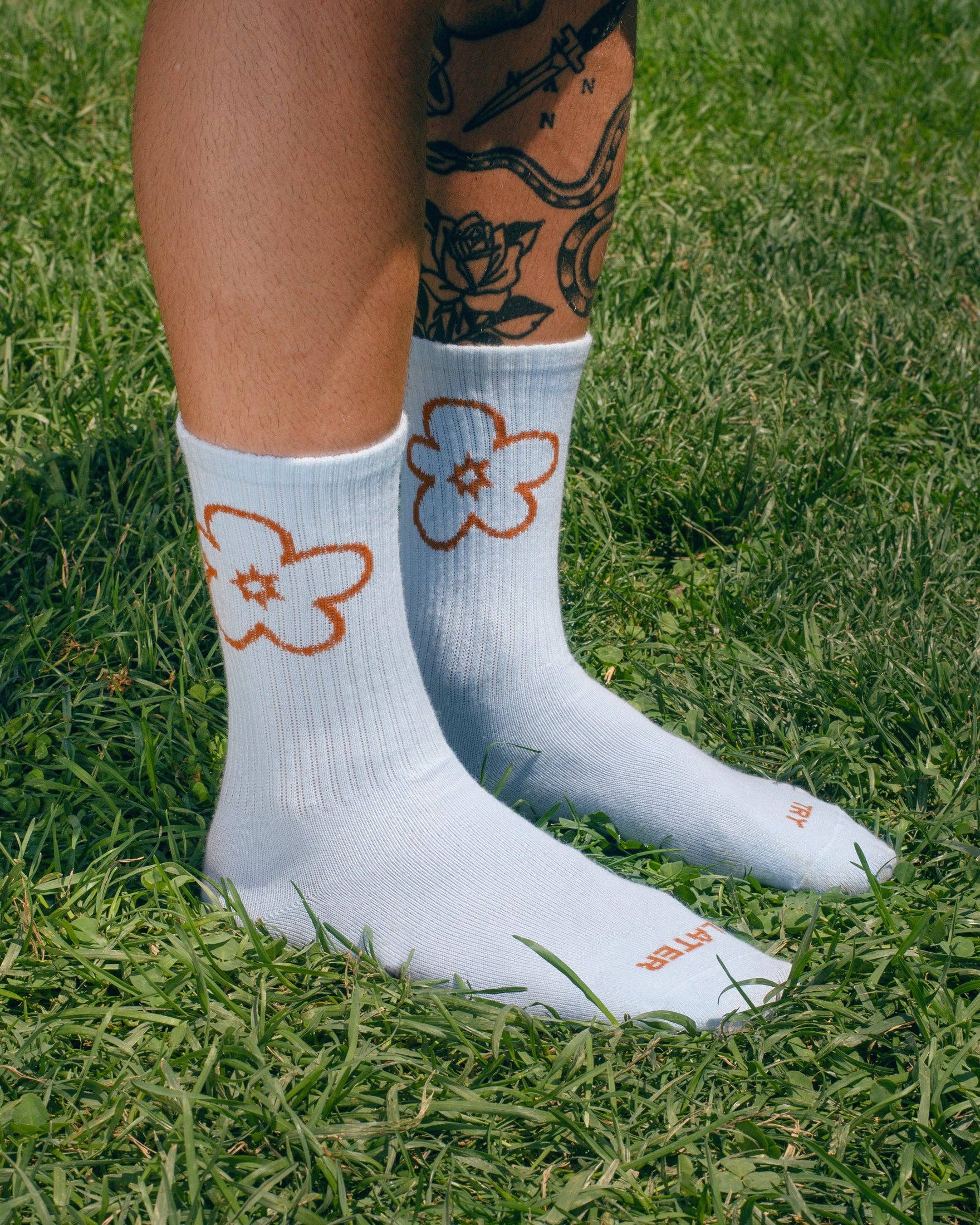 Try Later Socks