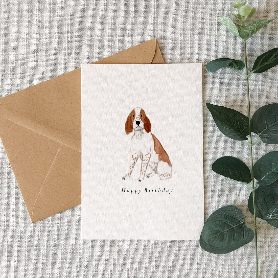Springer Spaniel Happy Birthday Card