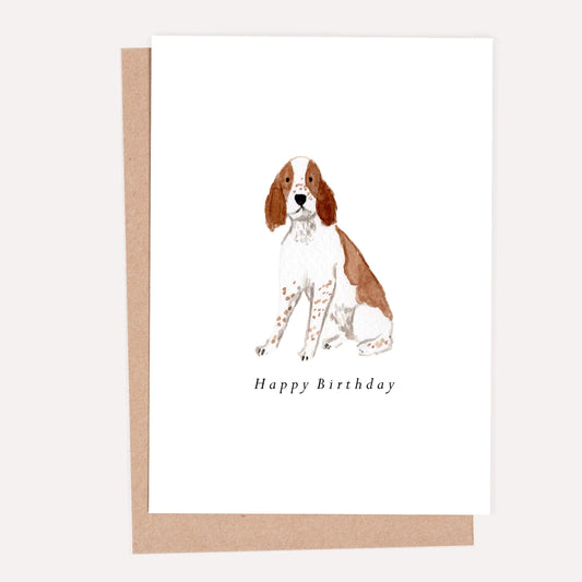 Springer Spaniel Happy Birthday Card