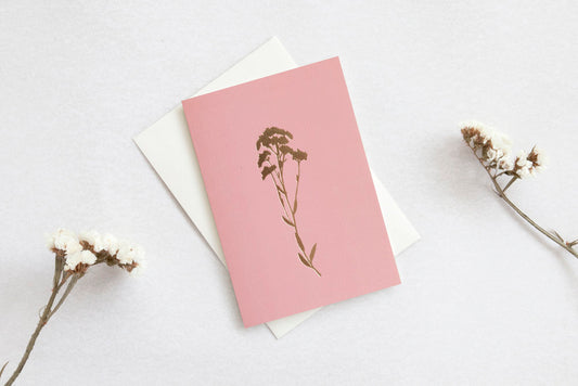 Alyssum Card Pink