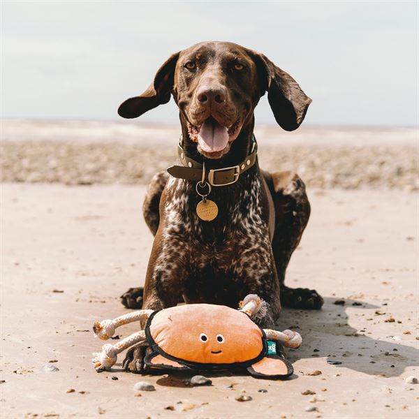 Cora The Crab Dog Toy