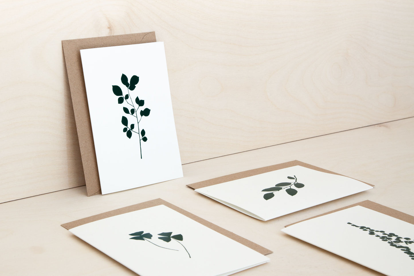 Eucalyptus Card